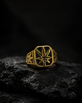 Dominion Leaf Signet Ring